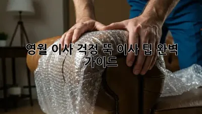 영월 이사, 걱정 뚝! 이사 팁 완벽 가이드
